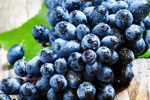 Синий виноград с листьями — стоковое фото