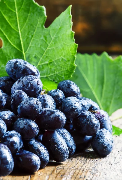 Uvas azules con hojas — Foto de Stock