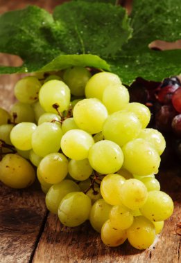 Yeşil ve mor yuvarlak üzüm 