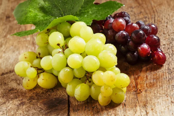 Groene en paarse ronde druiven — Stockfoto