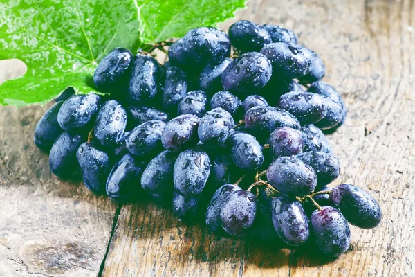 Uvas azules con hojas — Foto de Stock