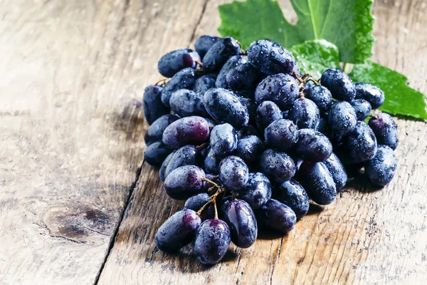 Uvas azules con hojas — Foto de Stock