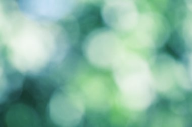 Doğal renkli arka plan bulanık 