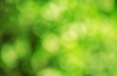 Doğal renkli arka plan bulanık 