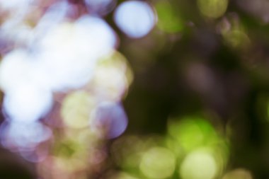 Doğal renkli arka plan bulanık 