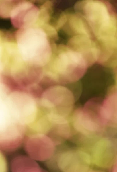 自然な着色された背景をぼかし — ストック写真