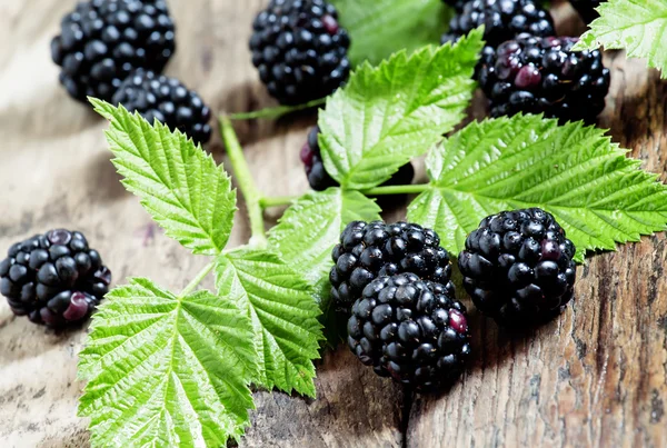 Frische Brombeeren mit Blättern — Stockfoto