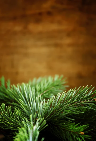 Rami di abete verde su un vecchio sfondo di legno — Foto Stock