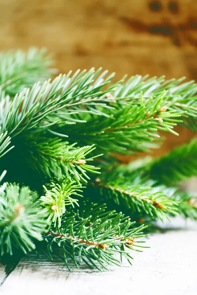 Branches de sapin vert sur un vieux fond en bois — Photo