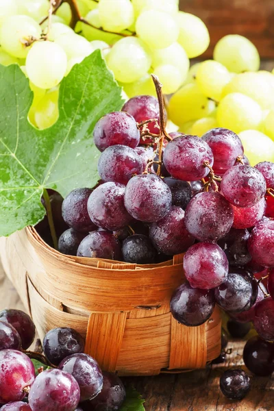 Lila kerek érett szőlőből készült, egy fonott kosárban — Stock Fotó