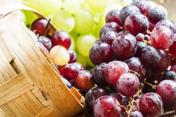 Hasır sepet içinde mor yuvarlak olgun üzüm  