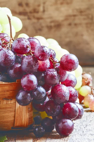 Purple round ripe grapes in a wicker basket