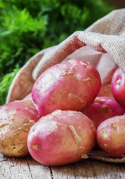 Lente verse aardappelen bijsnijden in een doek zak — Stockfoto