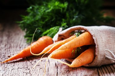 Bir tuval çanta içinde havuç hasat