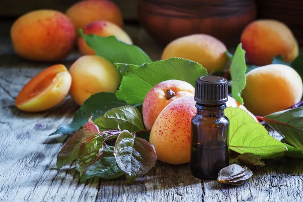 Essential oil of apricot pits, and fresh apricots with leaves — Stock Photo, Image