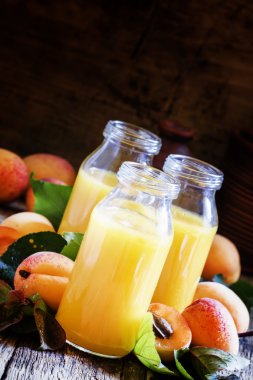 Taze sıkılmış suyu kayısı