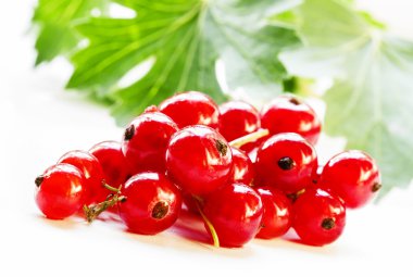 Eski ahşap arka plan yapraklarda ile kırmızı kuş üzümü