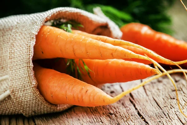 Bir tuval çanta içinde havuç hasat