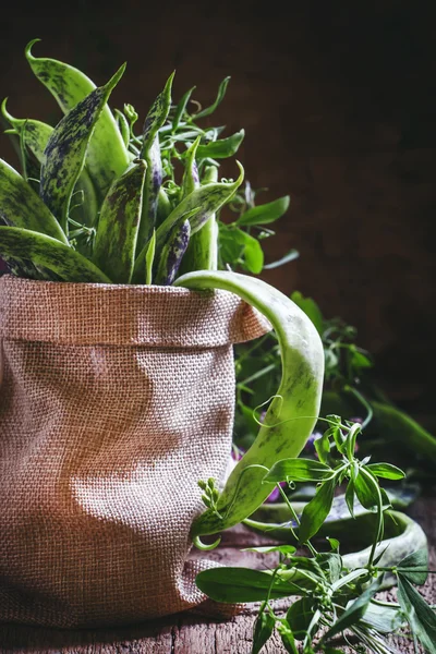 Jonge groene bonen, het gewas op de oude houten tafel — Stockfoto