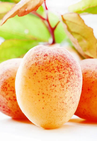Frische Aprikosen auf weißem Hintergrund — Stockfoto