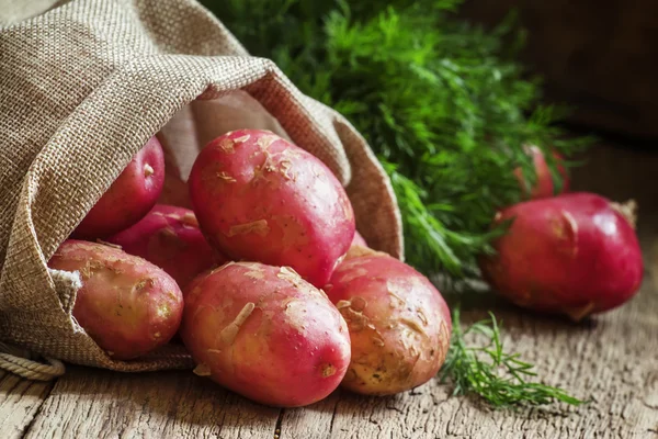 Jarní čerstvé brambory plodin v plátěném pytli — Stock fotografie