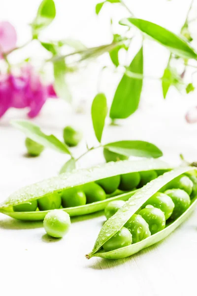 Groene erwten in peulen op een witte achtergrond — Stockfoto