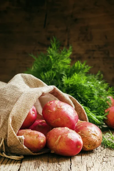 Primavera patatas frescas en una bolsa de lona — Foto de Stock