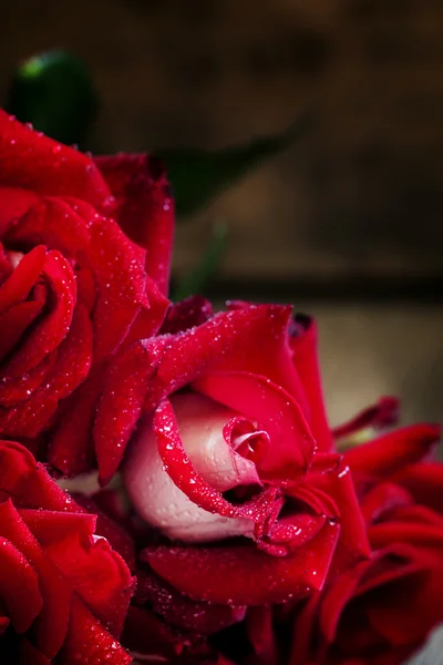 Bouquet di rose rosse — Foto Stock