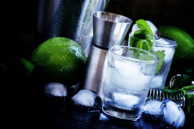 Kokteyl yapmak için bar araçları ve malzemeler seti