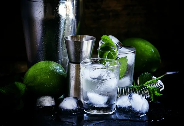 Set di strumenti da bar e ingredienti per preparare cocktail — Foto Stock