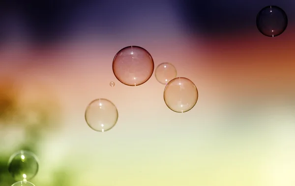 Fond naturel du ciel, bulles de savon sur fond de ciel — Photo