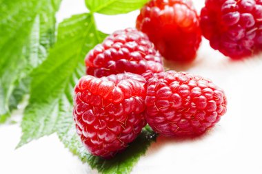 Yaprakları ile Taze büyük ahududu 