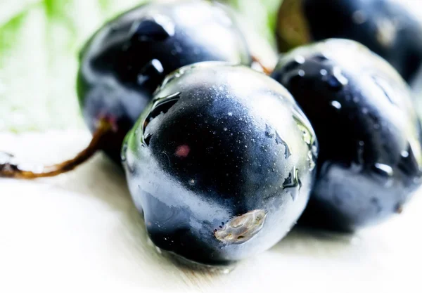 Beeren einer schwarzen Johannisbeere — Stockfoto