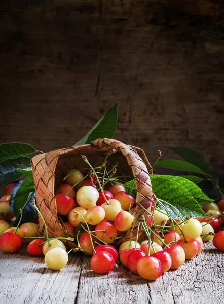 Yellow sweet cherry, harvest in the basket — Φωτογραφία Αρχείου