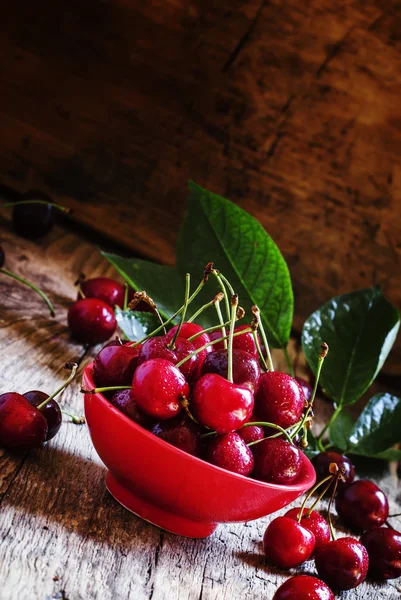 Cerezas rojas dulces en un tazón rojo — Foto de Stock