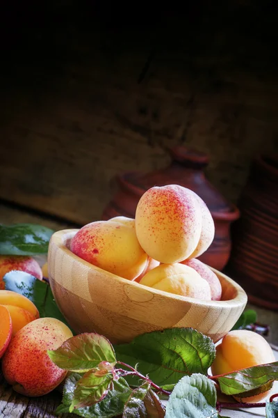 Свежие абрикосы с листьями в миске — стоковое фото