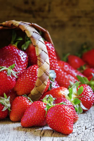 Frische Bio-Erdbeeren — Stockfoto