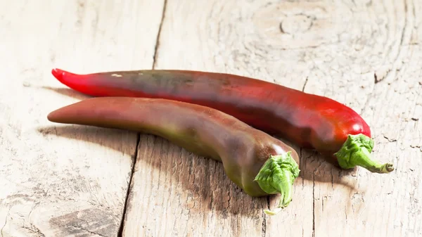 Dos chiles rojo-marrones — Foto de Stock