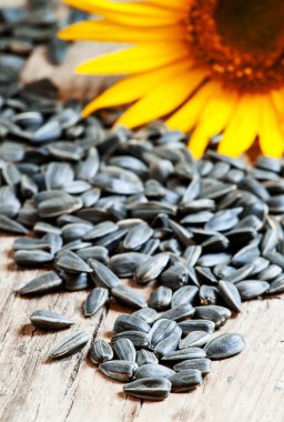 Tahta bir arka planda ayçekirdeği