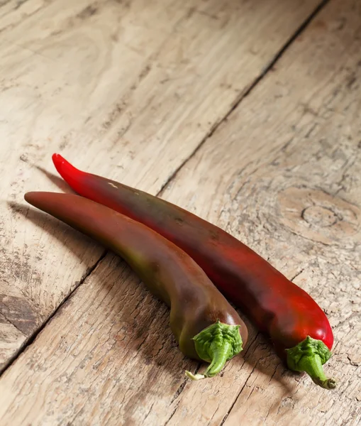 Dos chiles rojo-marrones —  Fotos de Stock