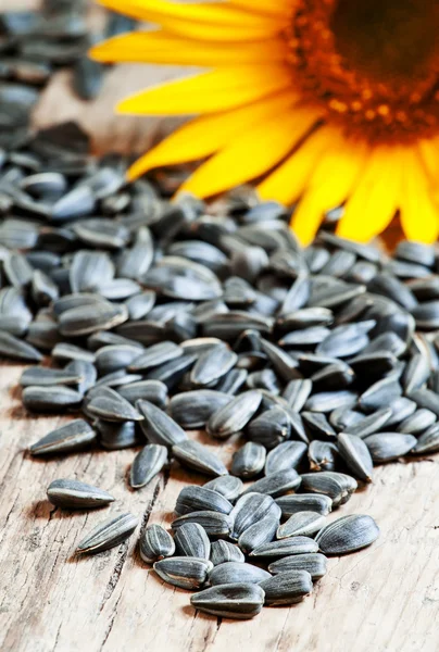 Sunflower seeds on a wooden background — Stock Photo, Image