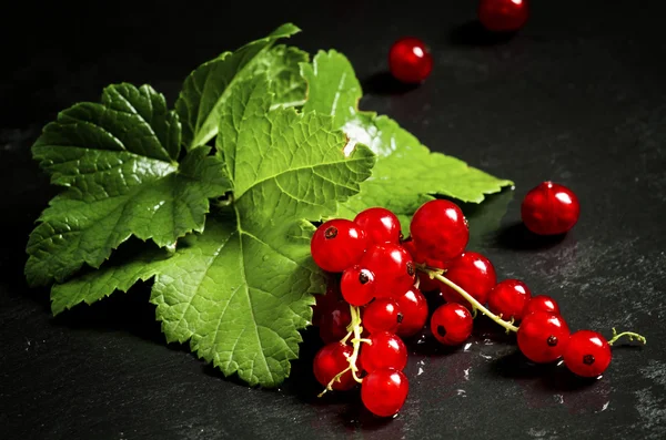 Ribes rosso con foglie su sfondo scuro — Foto Stock