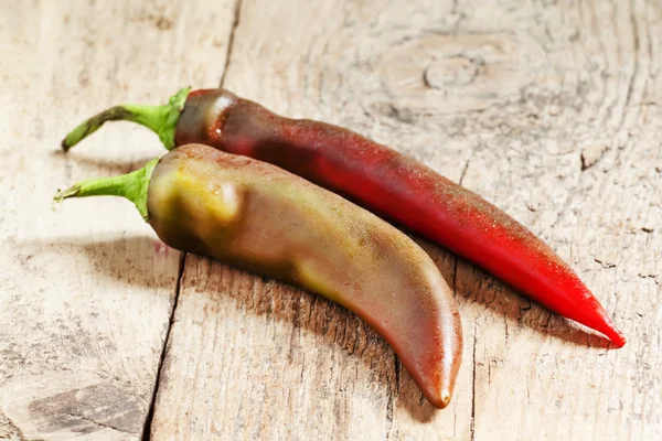 Two red-brown chili peppers — Stock Photo, Image