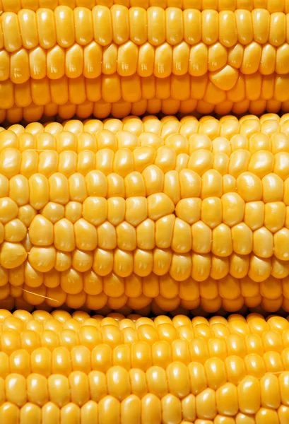 Ripe yellow corn, top view — Stock Photo, Image