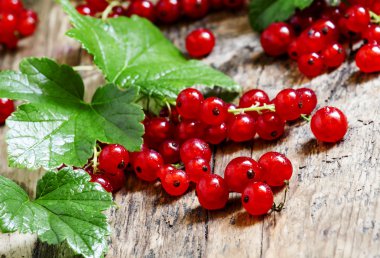 Eski ahşap arka plan yapraklarda ile kırmızı kuş üzümü