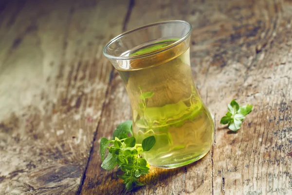 Herbaty ziołowe z oregano — Zdjęcie stockowe