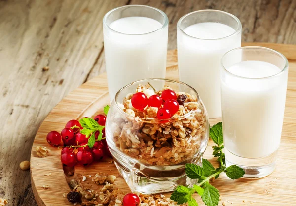 Здоровый завтрак с мюсли, молоком и красным куурантом — стоковое фото