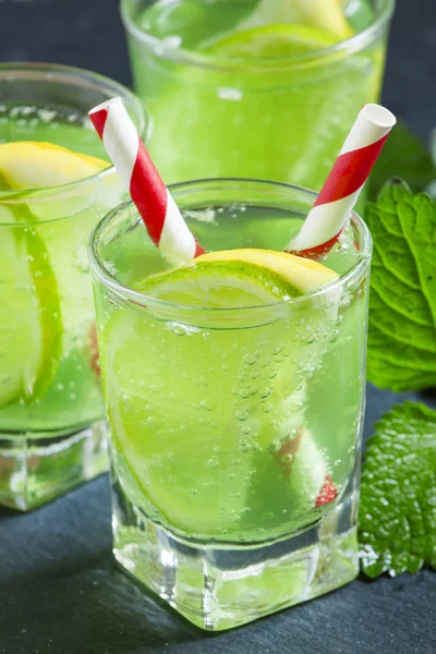 Minzlimonade mit Zitrone und Limette — Stockfoto