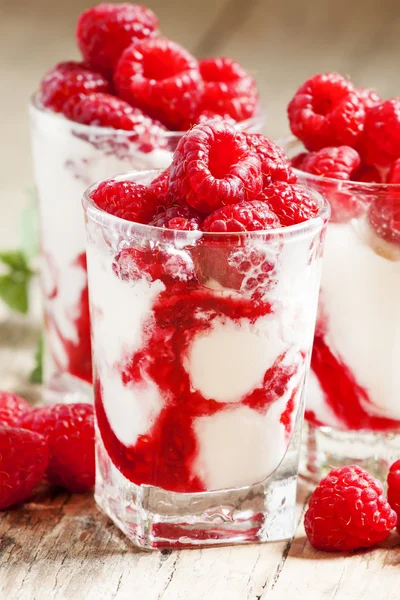 Raspberry ice cream with berries and mint — Stock Photo, Image