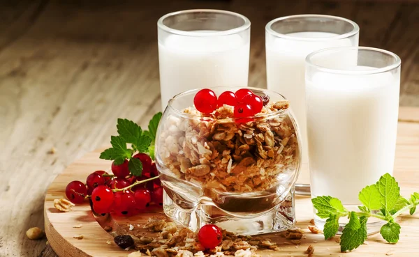 Gezond ontbijt met muesli, melk en rood cuurant — Stockfoto